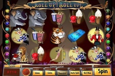 Podgląd Roll up slot